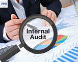 TRAINING ONLINE FINANCIAL AUDITING FOR INTERNAL AUDITOR