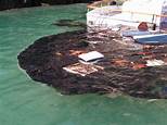TRAINING ONLINE MARINE POLLUTION CONTROL