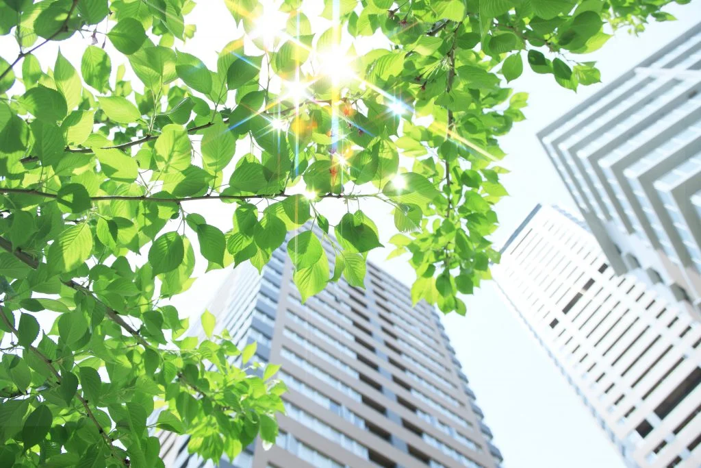 TRAINING GREEN BUILDING CONCEPT
