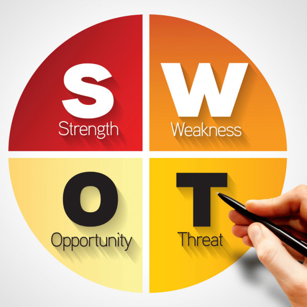 TRAINING SWOT ANALYSIS UNTUK PENYEMPURNAAN ORGANISASI