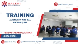 TRAINING ALIGNMENT AND BALANCING PUMP